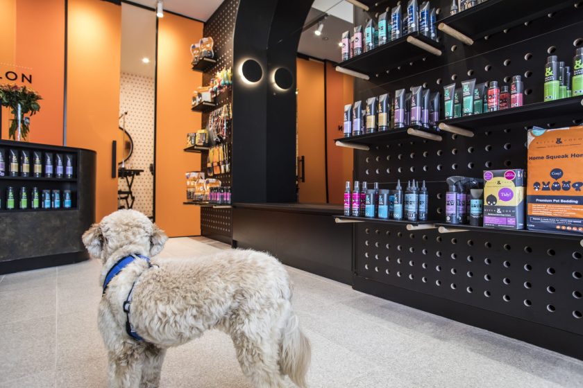 Puppicinos And Pawdicures – Sydney’s Day Spa For Pets