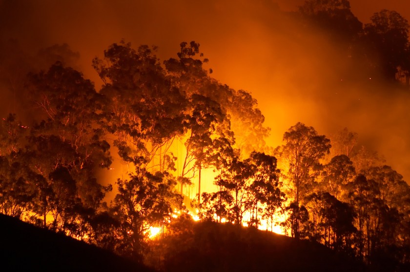 What Your Business Can Do To Help Australia’s Bushfires
