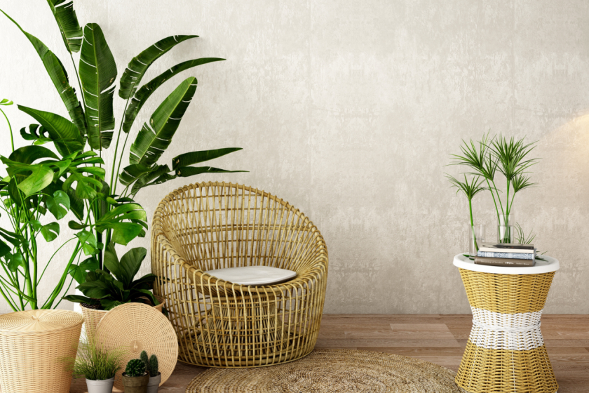 The Ultimate Guide To Low-Maintenance Indoor Plants For Your Spa Or Clinic