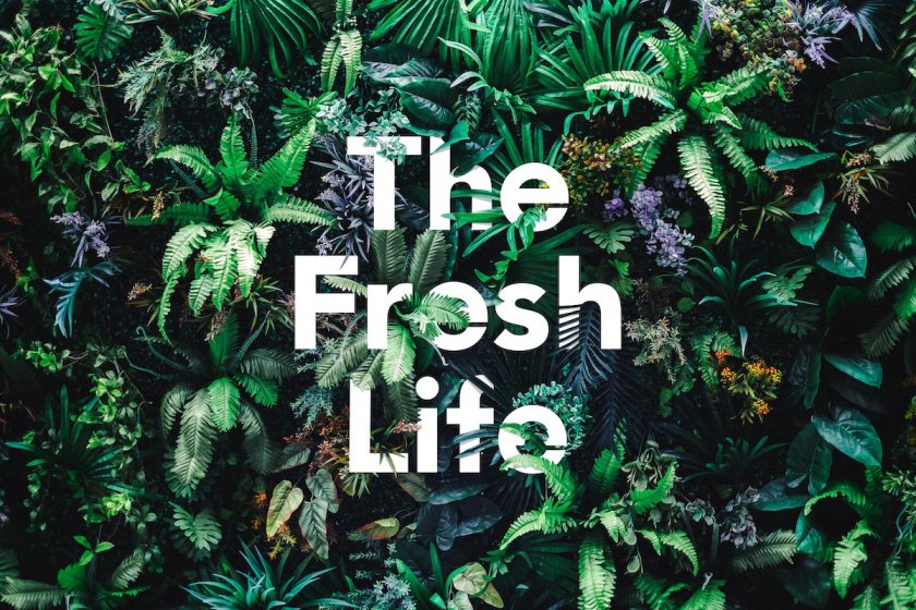 Will We See You At THE FRESH LIFE Next Week?