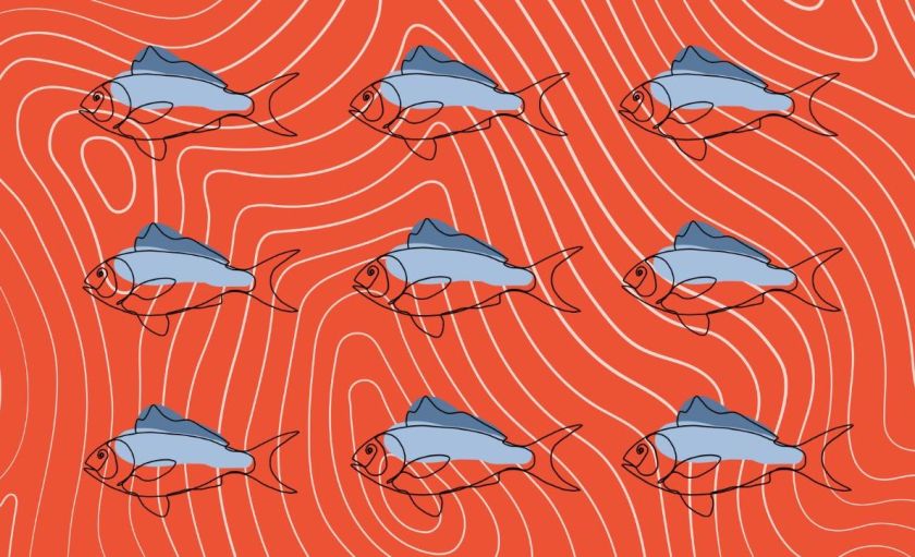 Here’s What You Need To Know About The New Injectable Made From Salmon Sperm